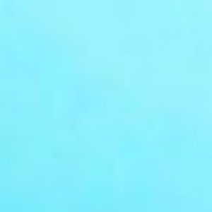 Meet your Posher, Ella